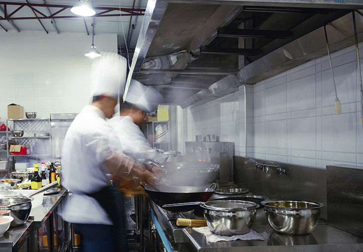 Conquering Pests in Commercial Kitchens